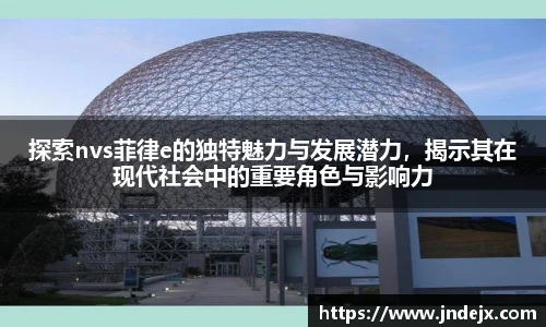 探索nvs菲律e的独特魅力与发展潜力，揭示其在现代社会中的重要角色与影响力